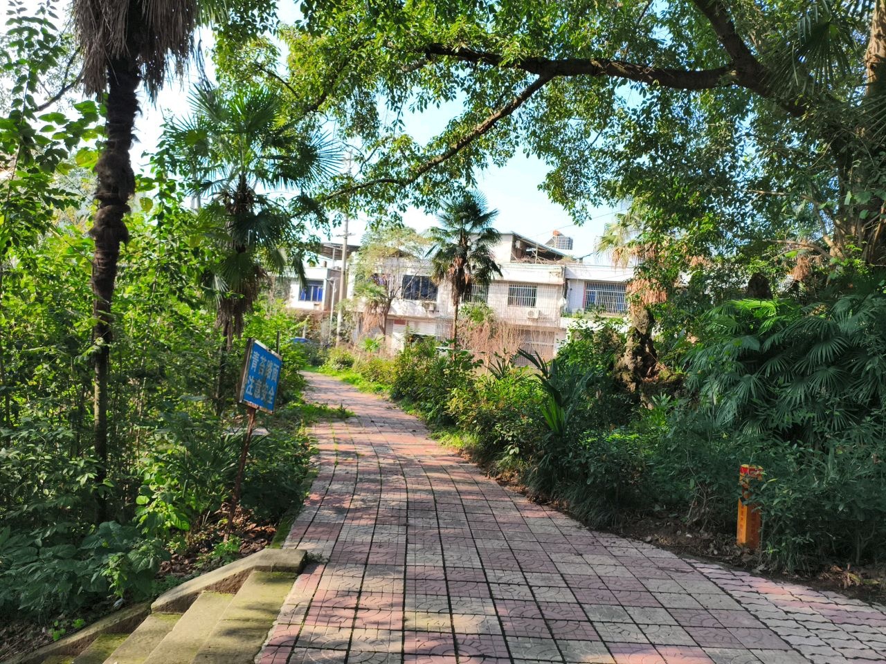杨桥水库