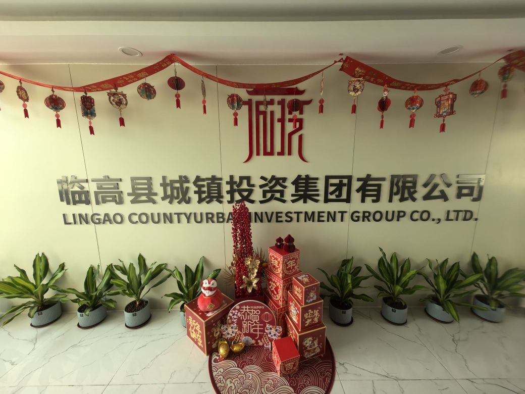 临高县城镇投资集团有限公司