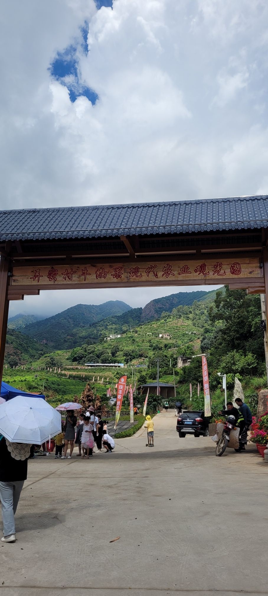 弄密村牛油果现代农业观光园