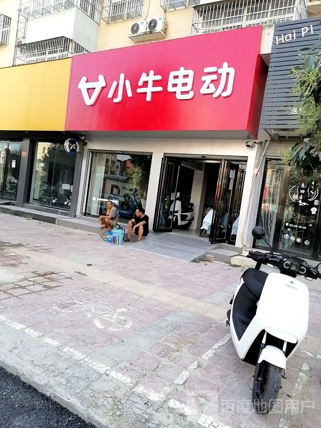 西华县小牛电动(西华文化小区店)