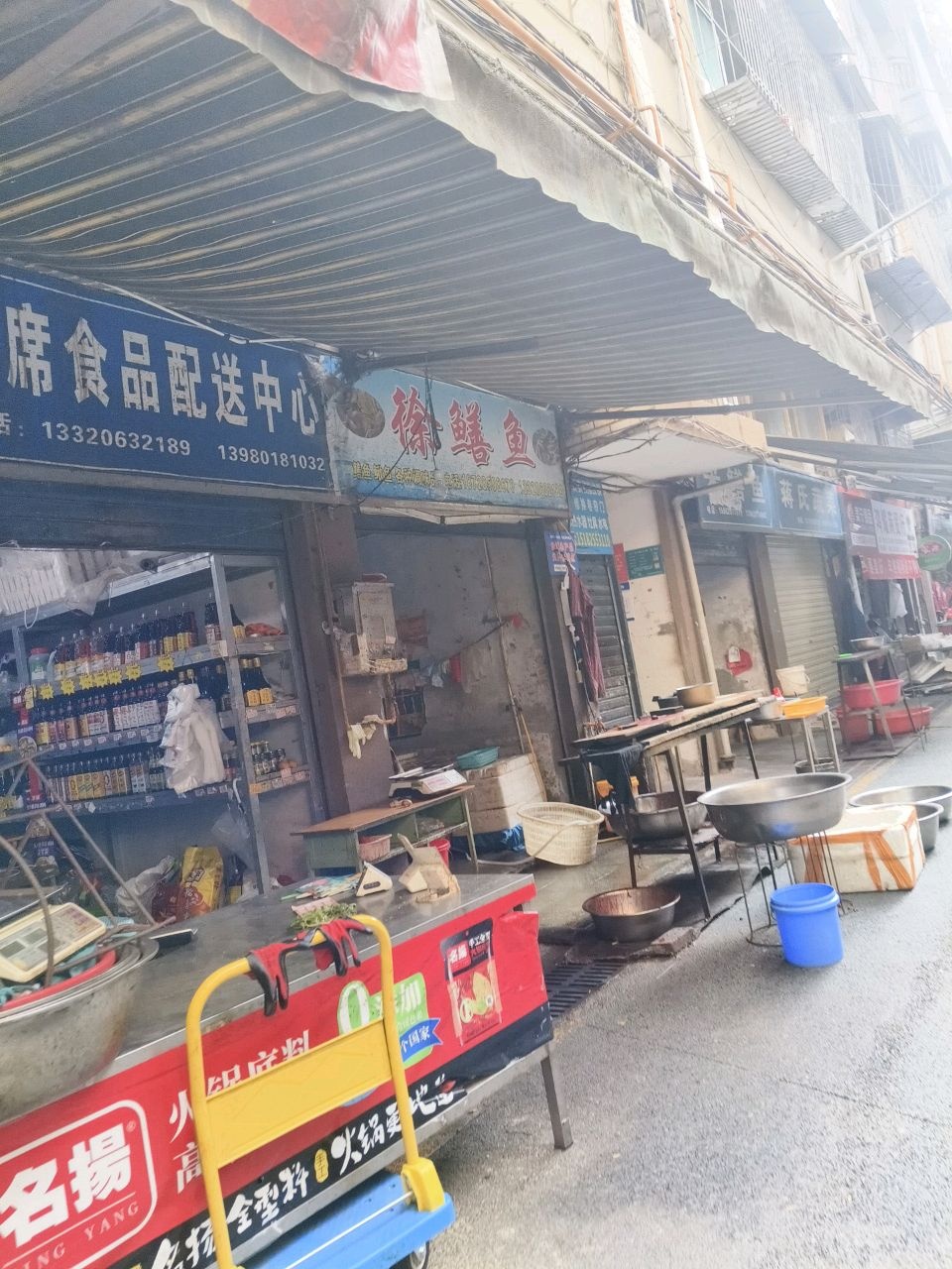 徐鳝鱼