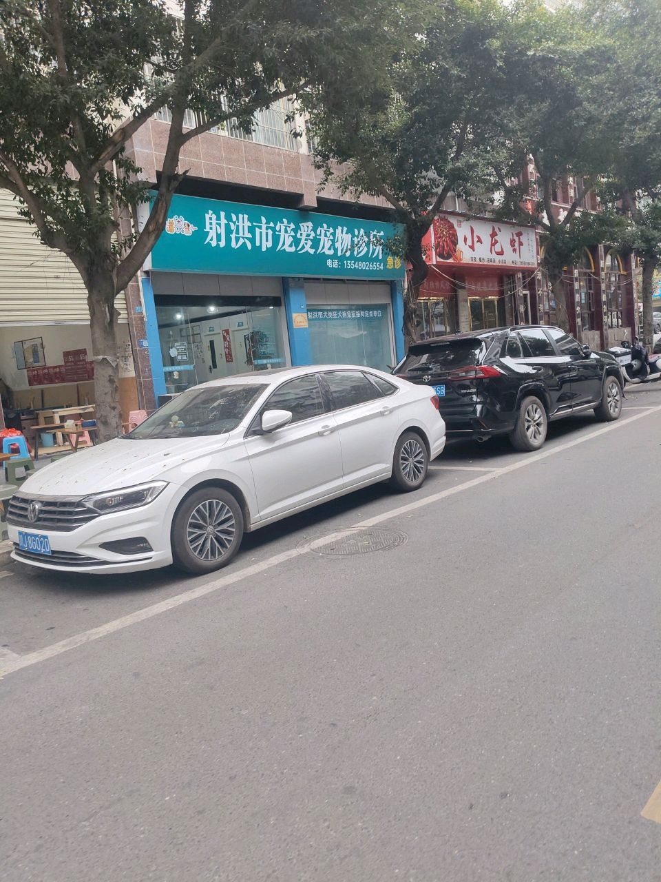 射洪市宠爱宠物诊所(射洪店)