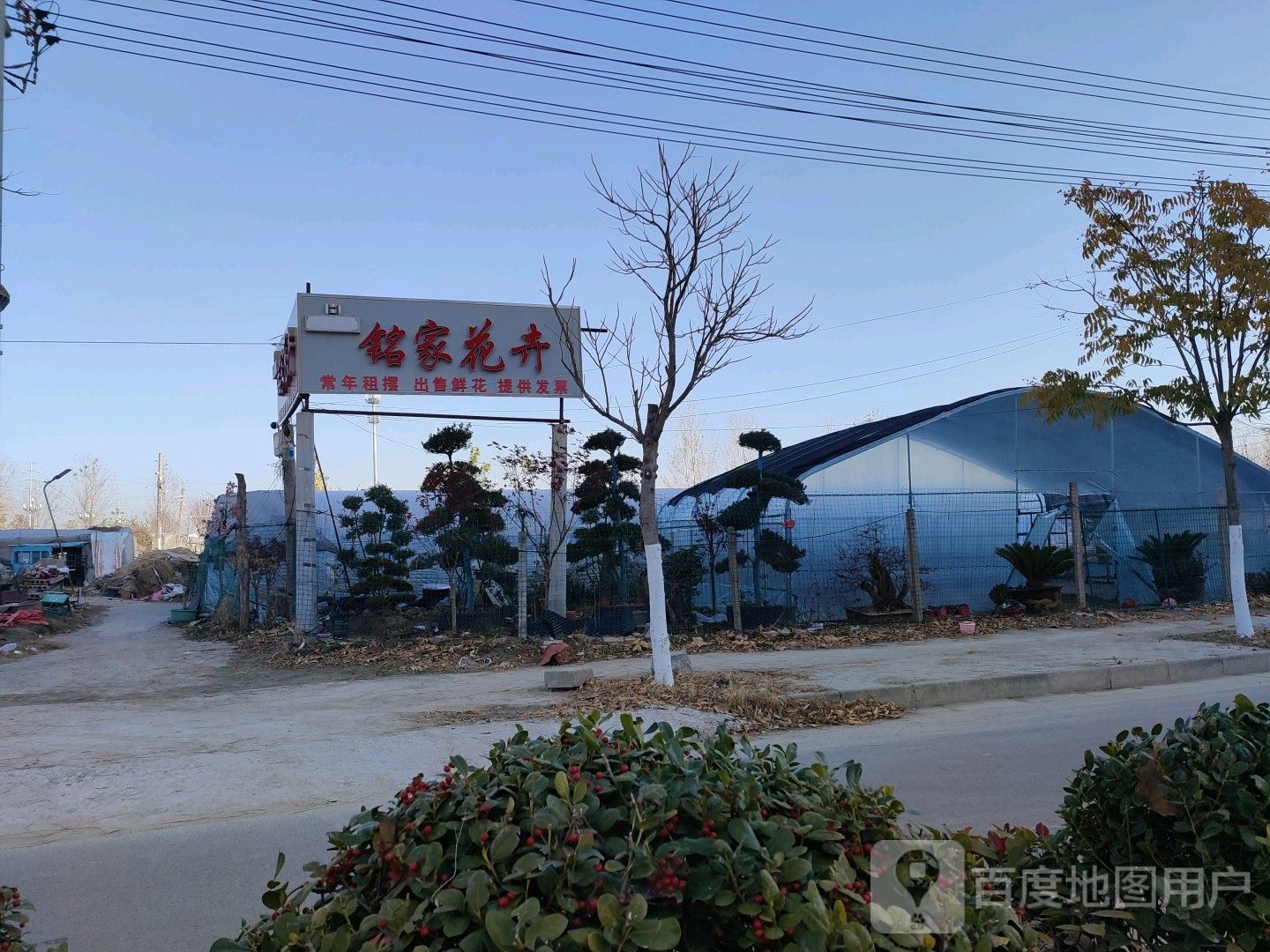 铭家花卉