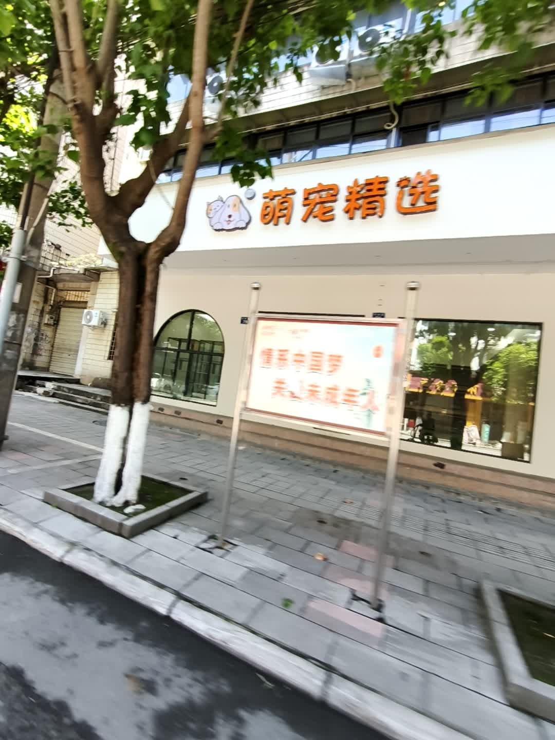 小叮当萌宠精选
