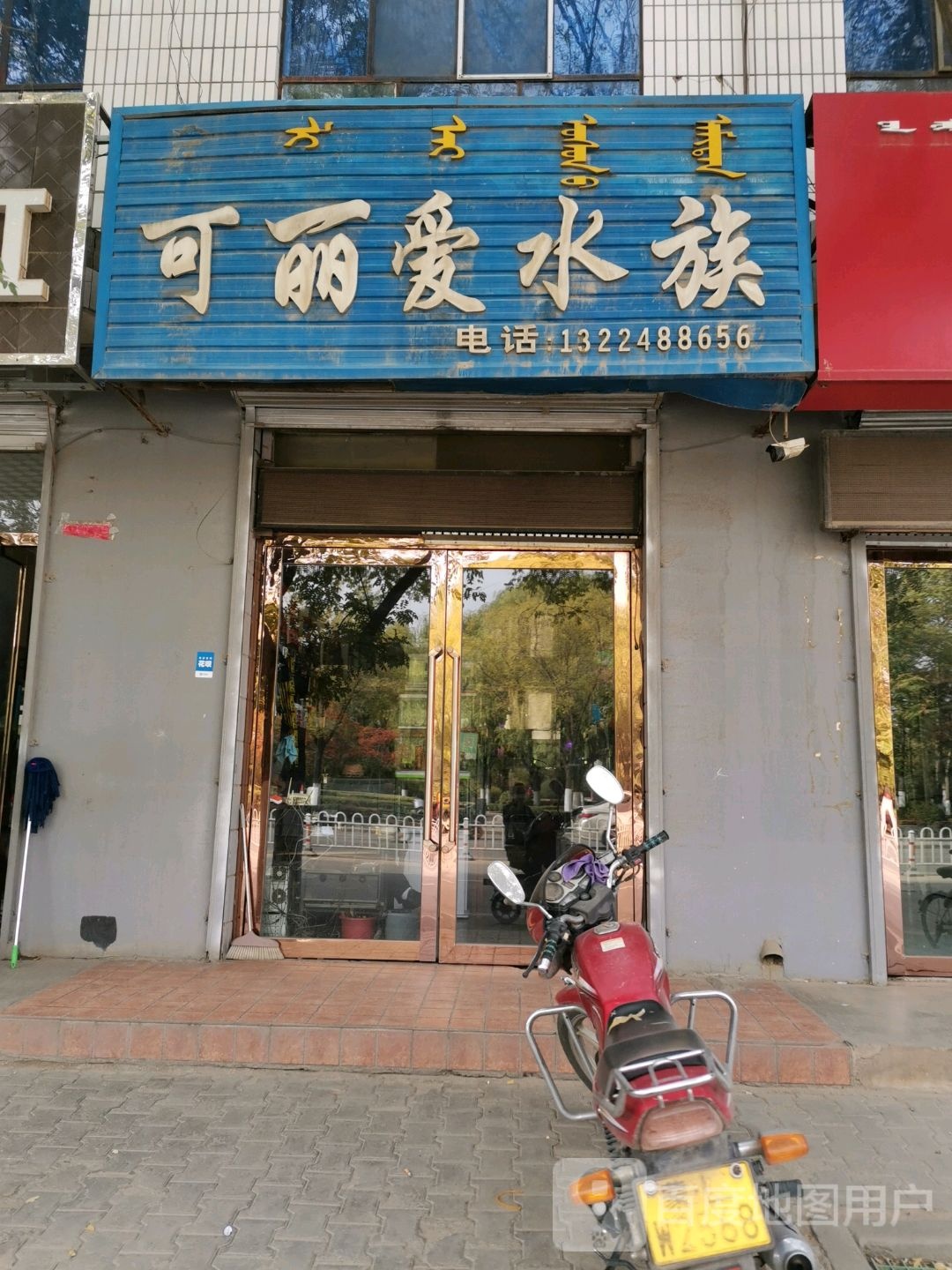 可爱丽水族(将军路店)