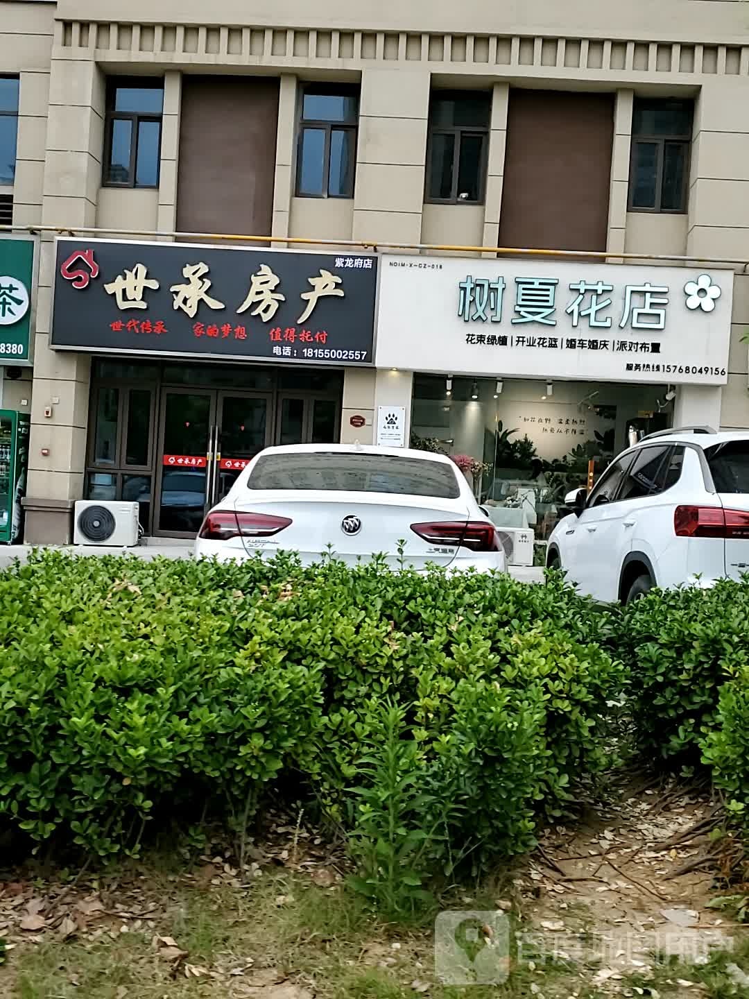 誓蛹树尧夏花店