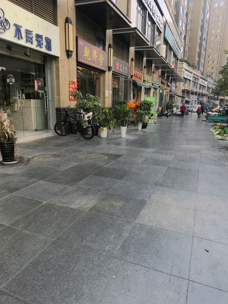 不弃宠物