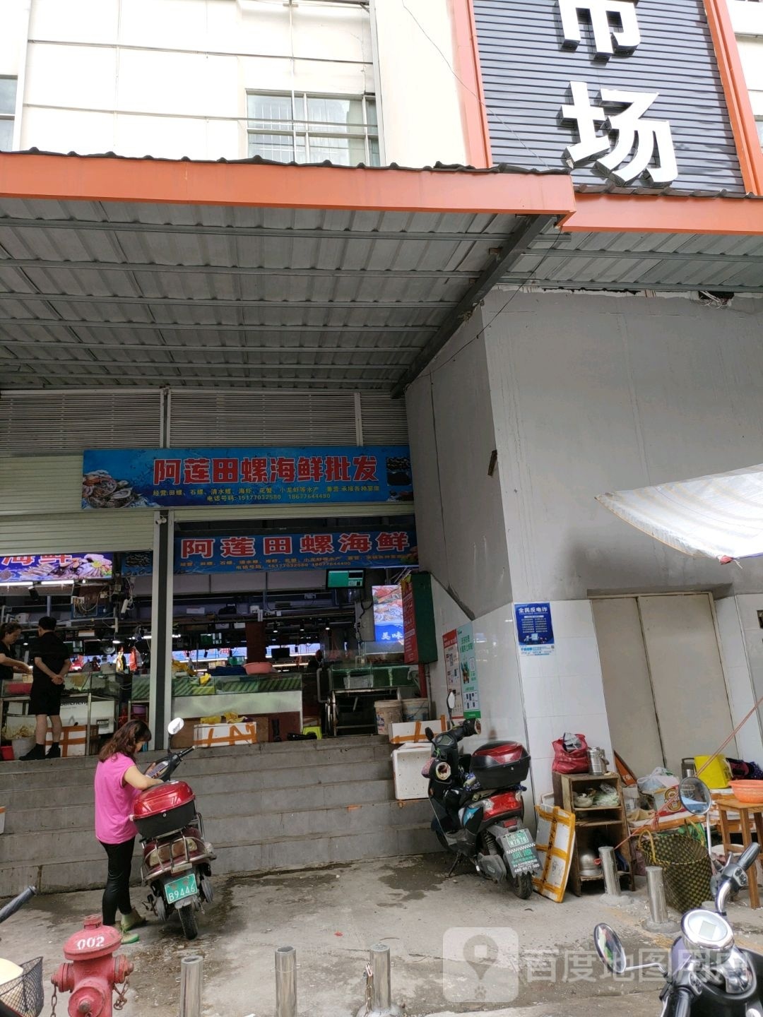 莲术阿田笃螺海鲜批发