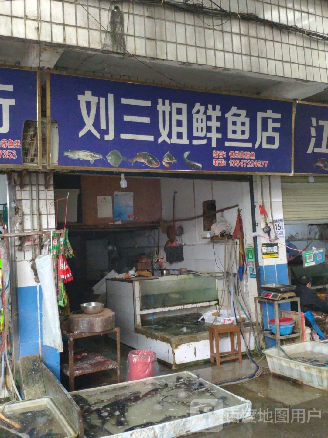 刘三姐鲜鱼店