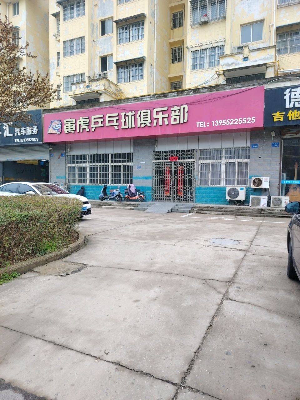 寅虎乒乓球俱乐部