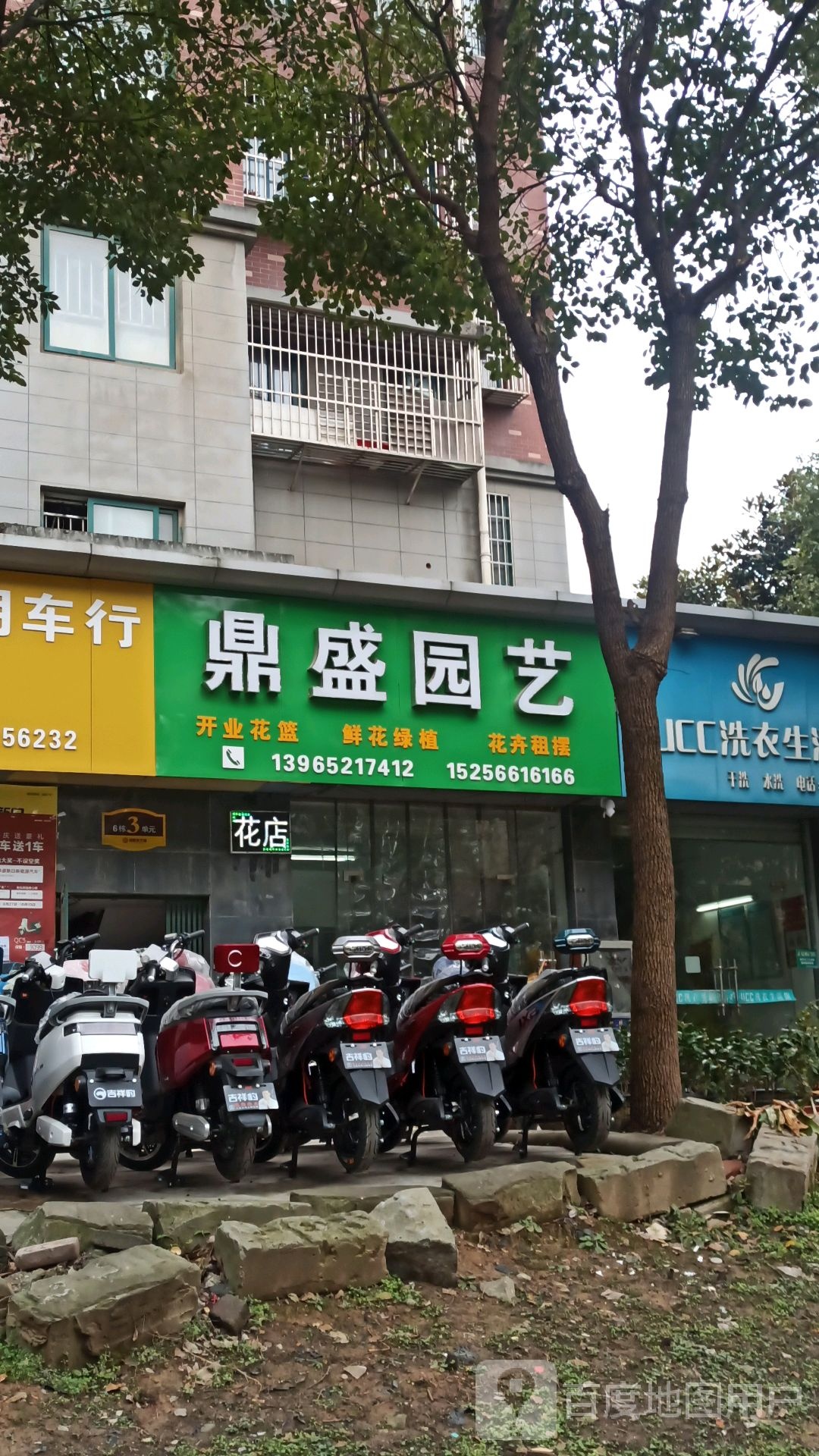 鼎盛园艺(福景东方·幸福家园店)