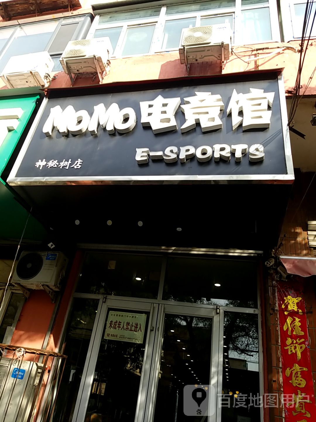 MoMo电竞管(神秘树店)