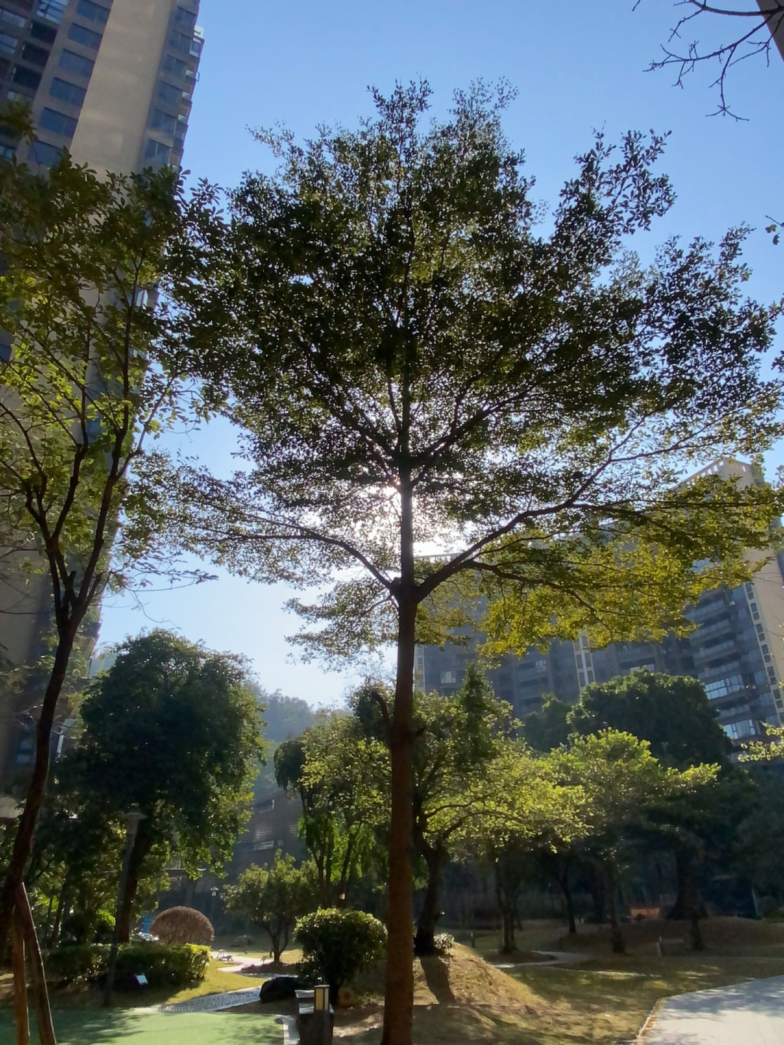 马山