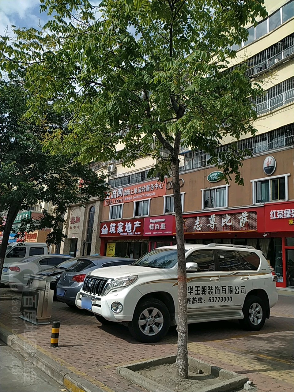 志尊比萨(南航店)