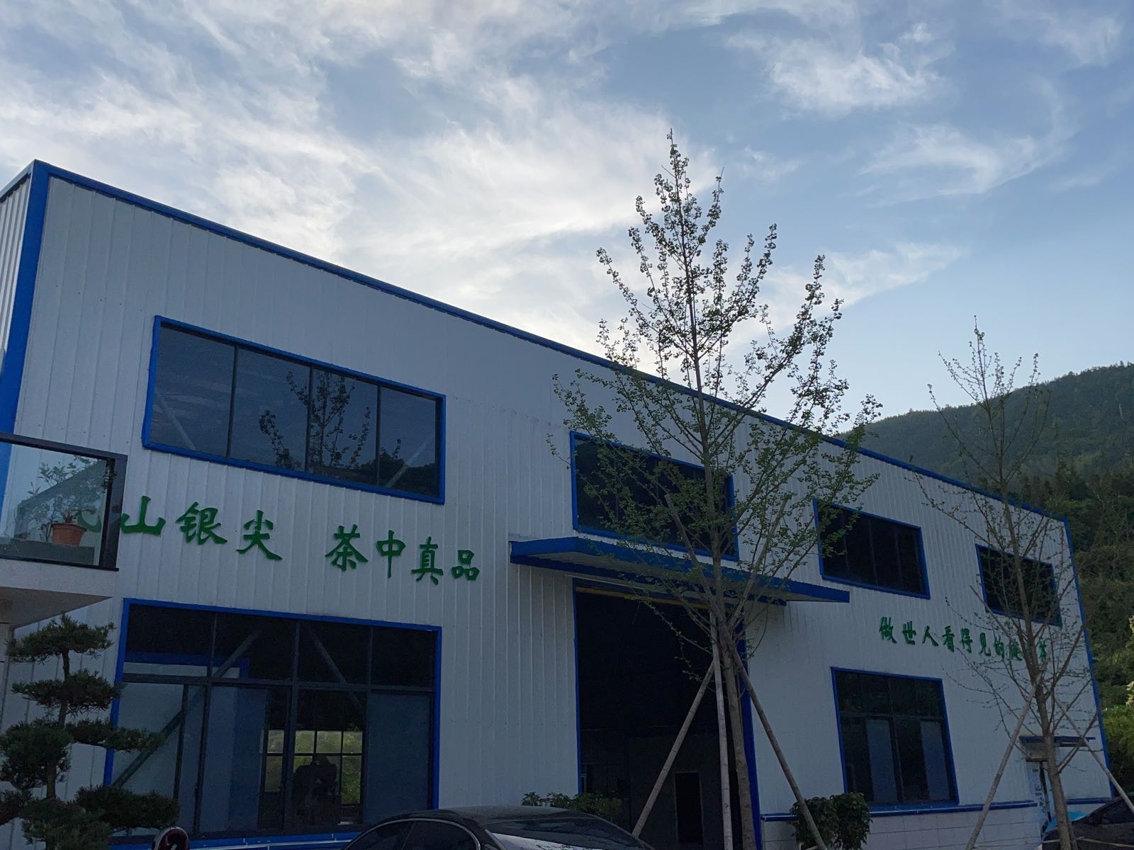 飞山青源茶业