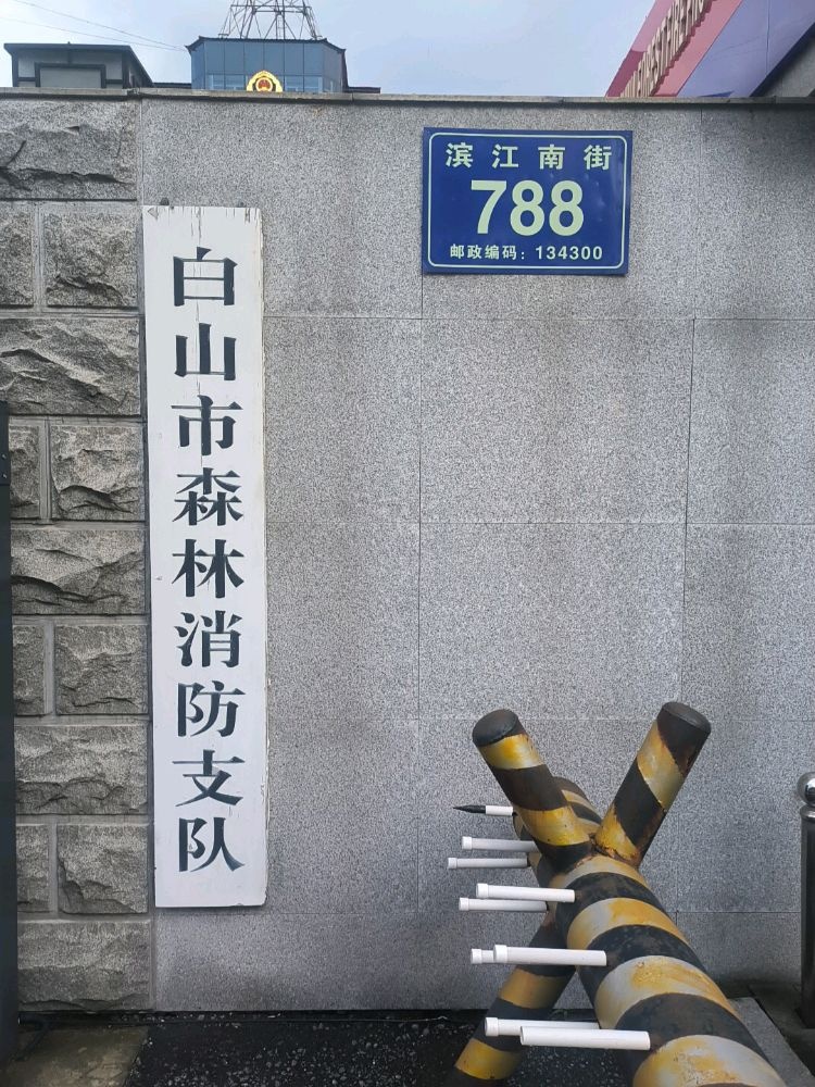 白山市森林消防支队