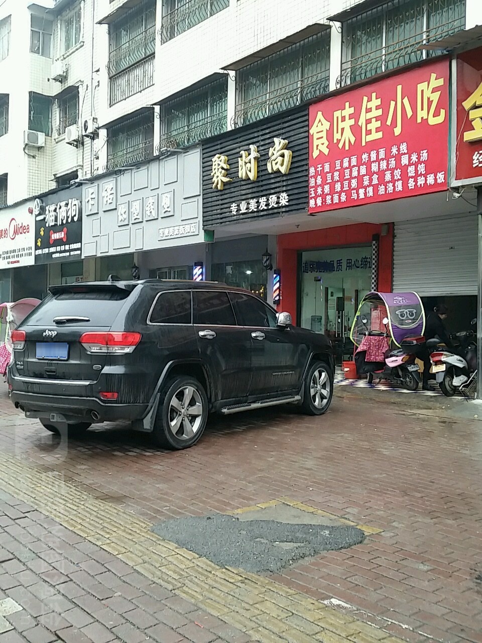 一猫俩狗宠物俱乐部