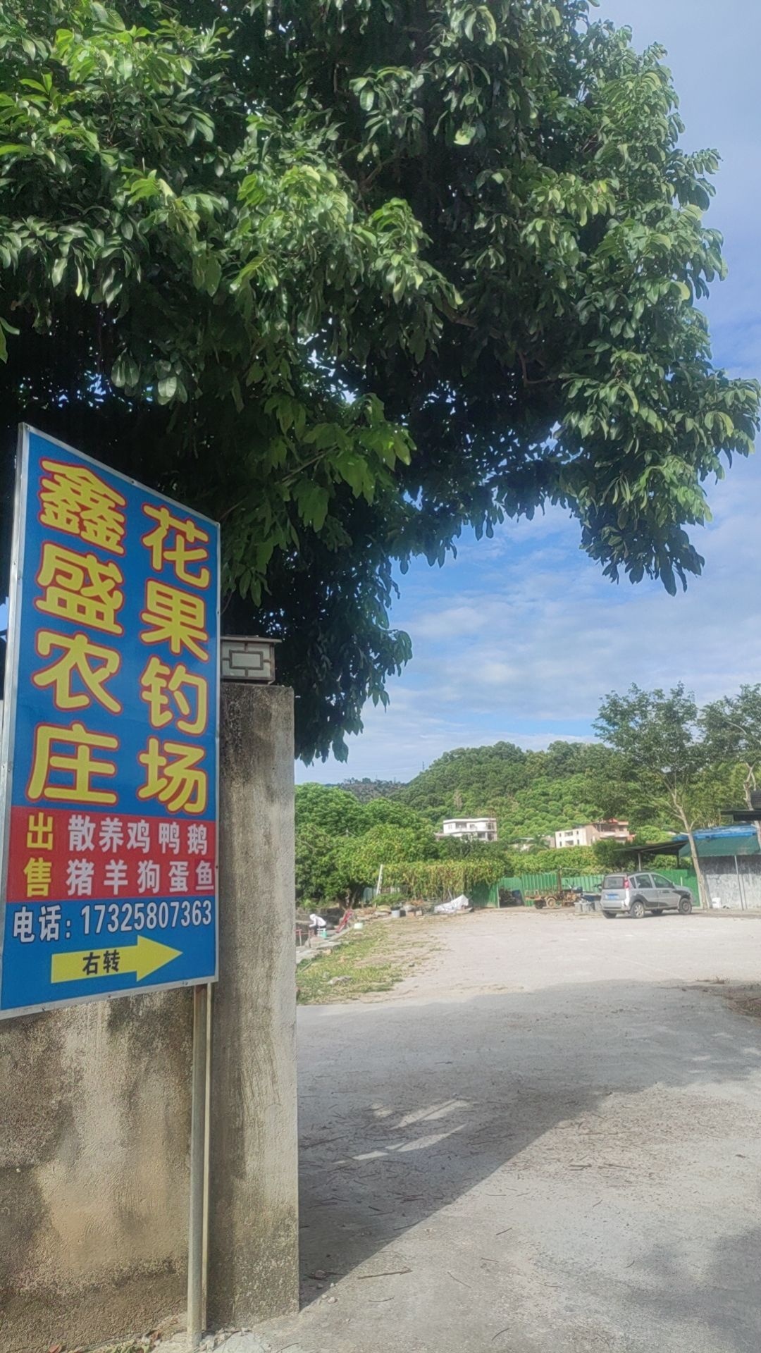 鑫盛农庄花果钓场