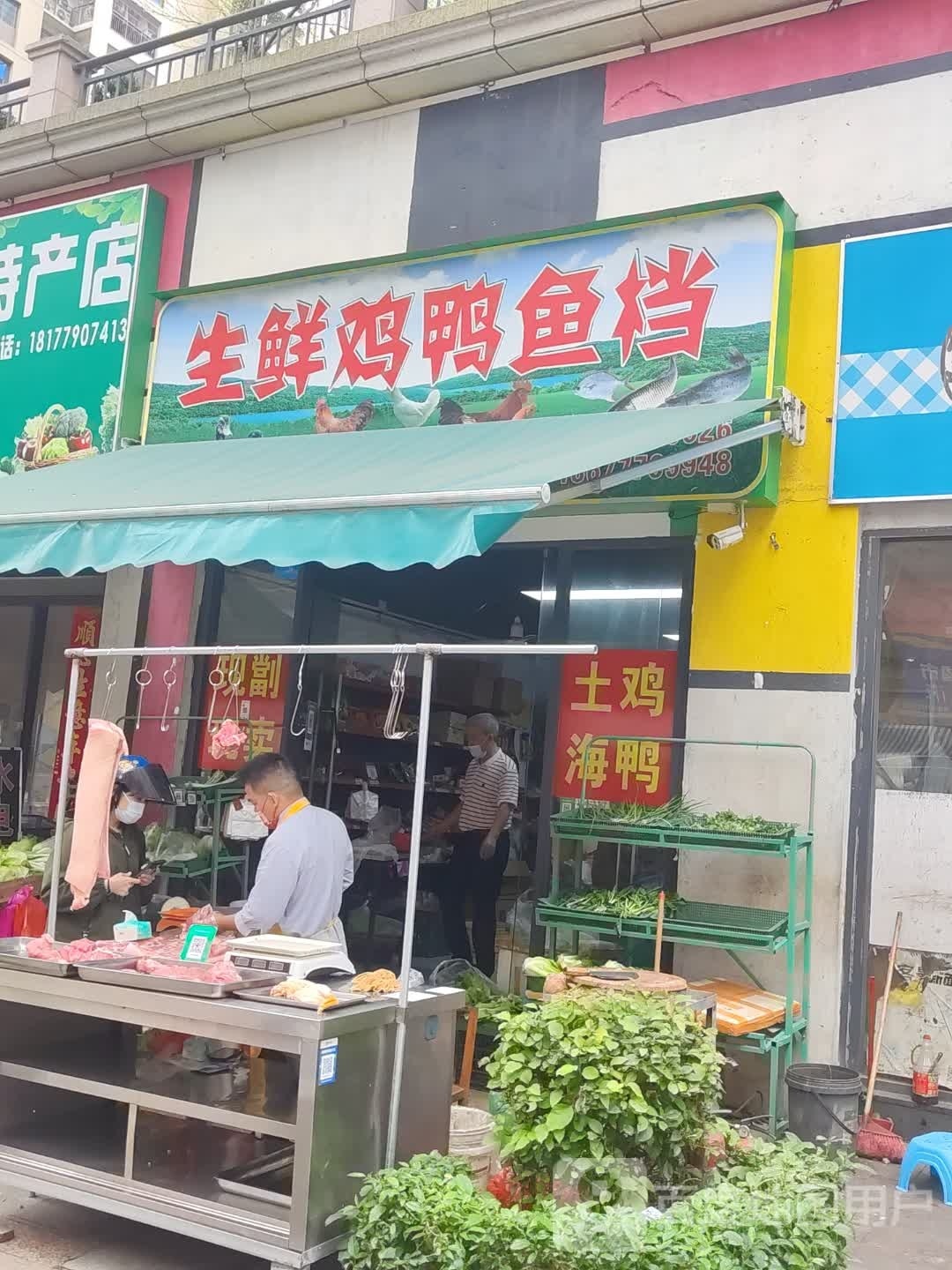 生鲜鸡鸭鱼档(人和春天G区店)