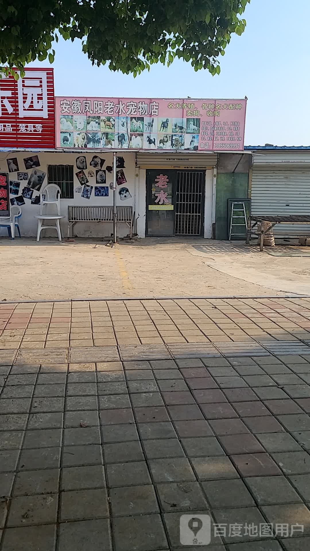 安徽凤阳老水宠物店