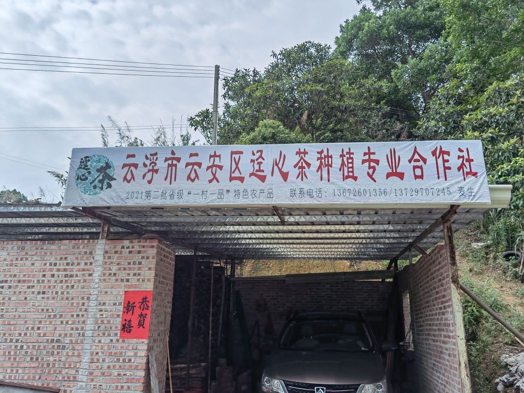 云浮市云安区迳心茶种植云专业合作社