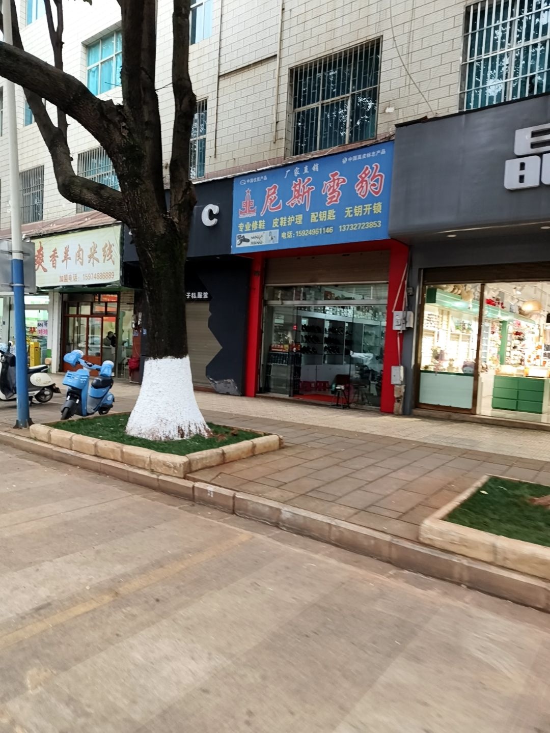 尼斯雪豹