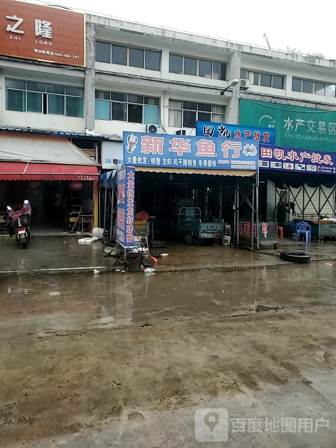 金华鱼行