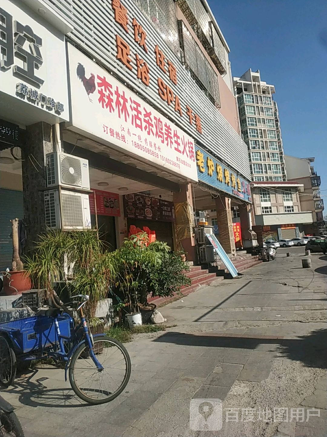 森林活杀鸡养生火锅
