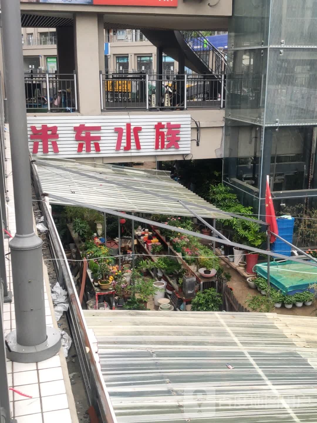 米东水族