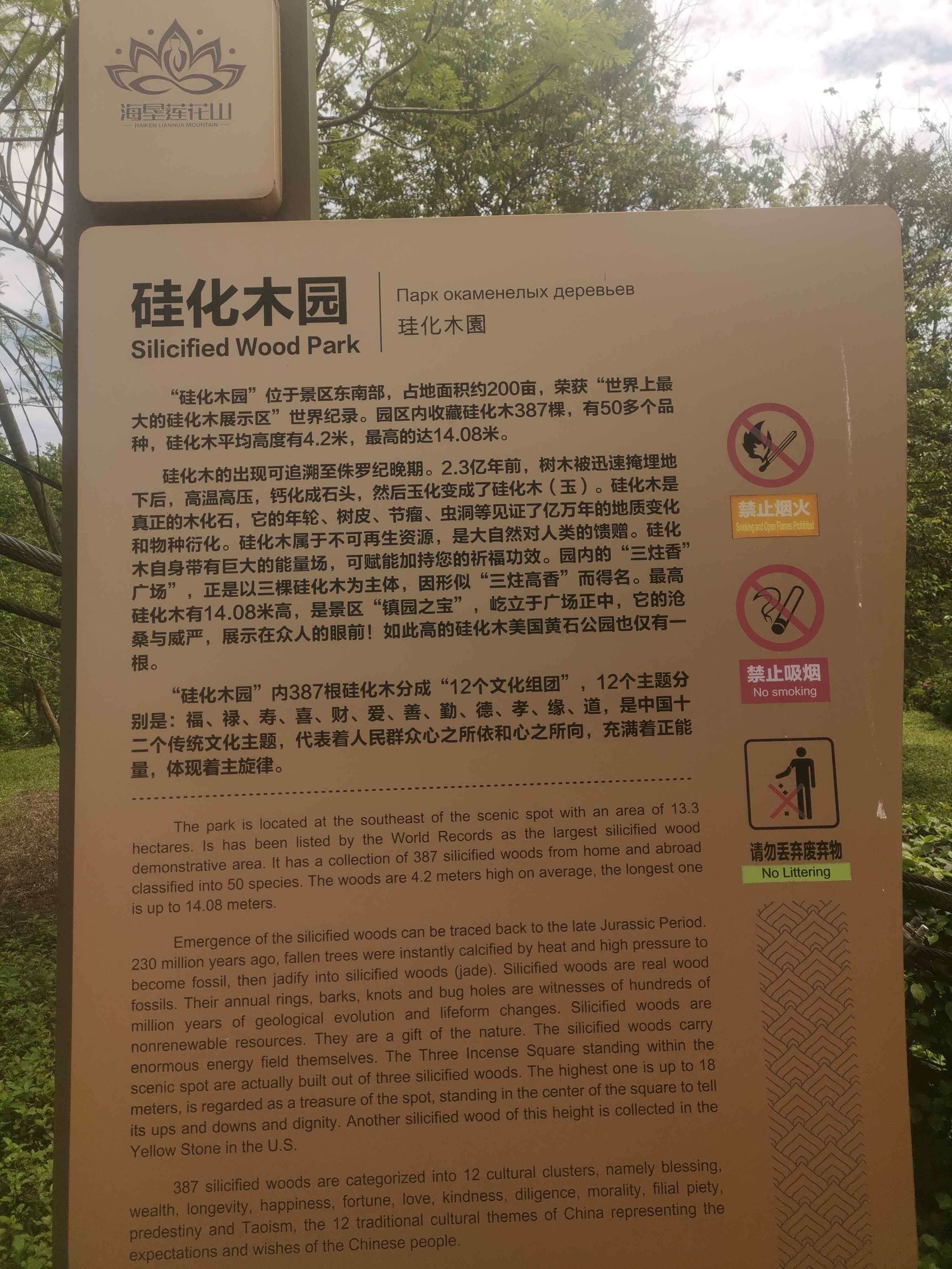 硅化木园