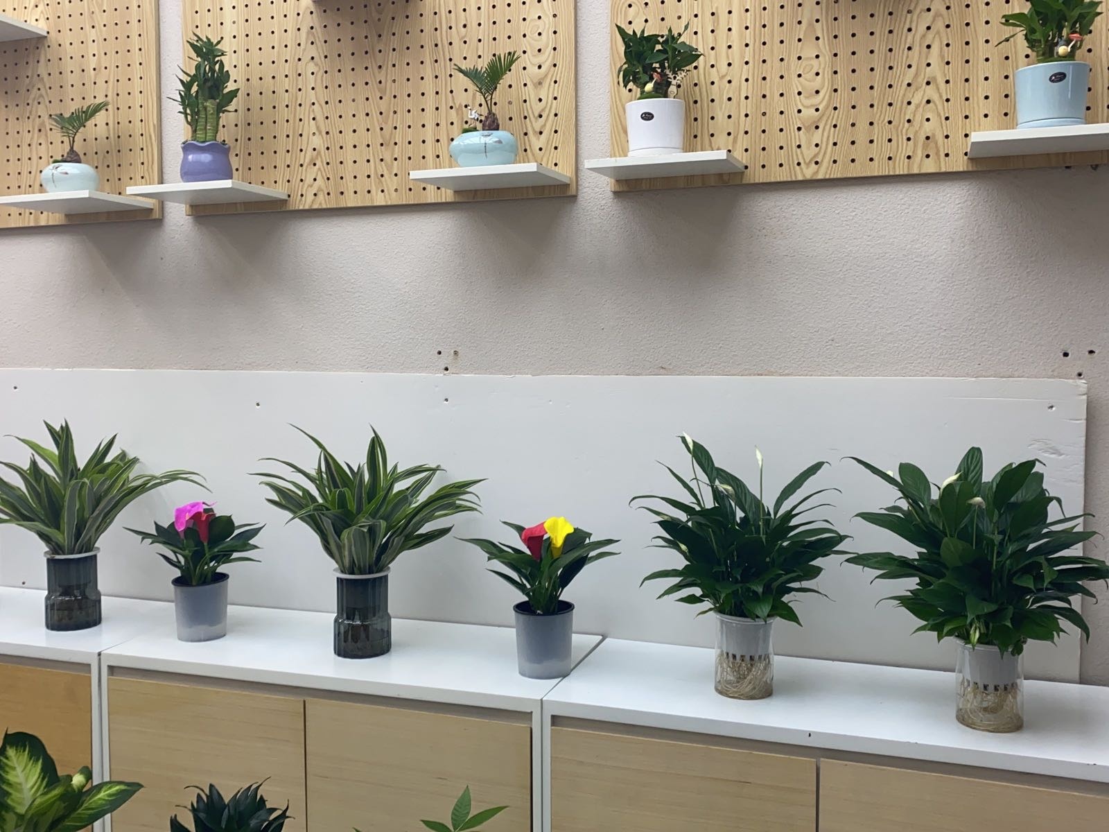 花果源(八一路店)