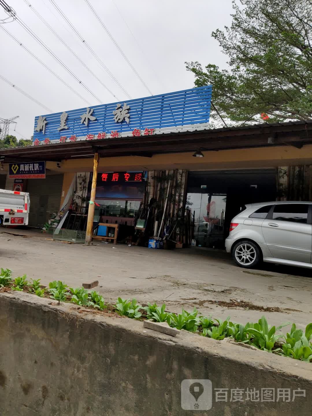 新皇水族