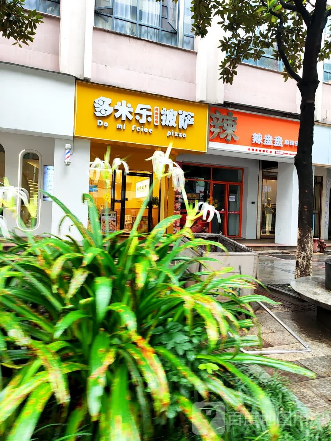 嘶米镦多乐披萨