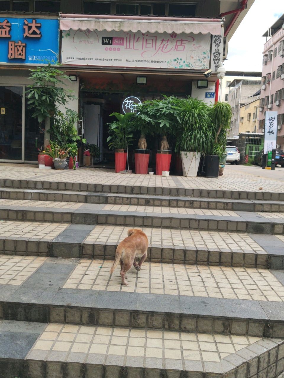 此间花店