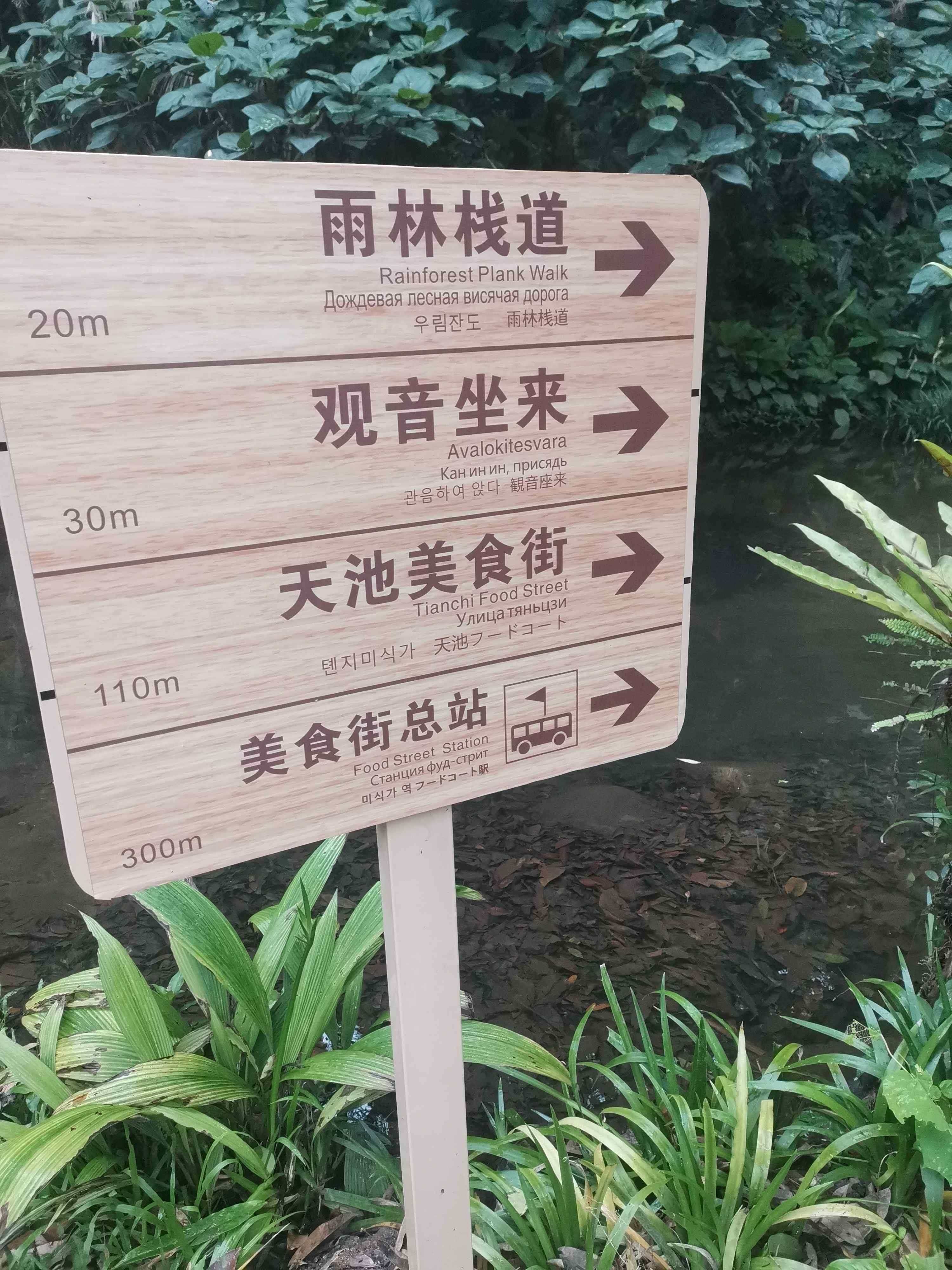 观音坐来