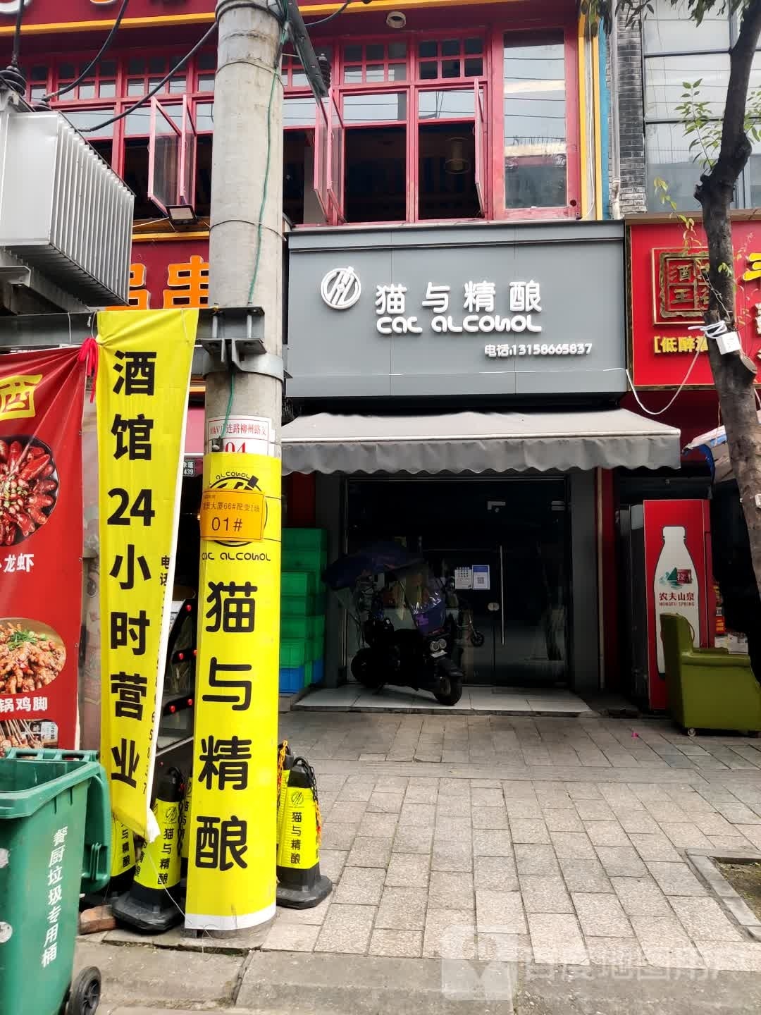 猫与精酿