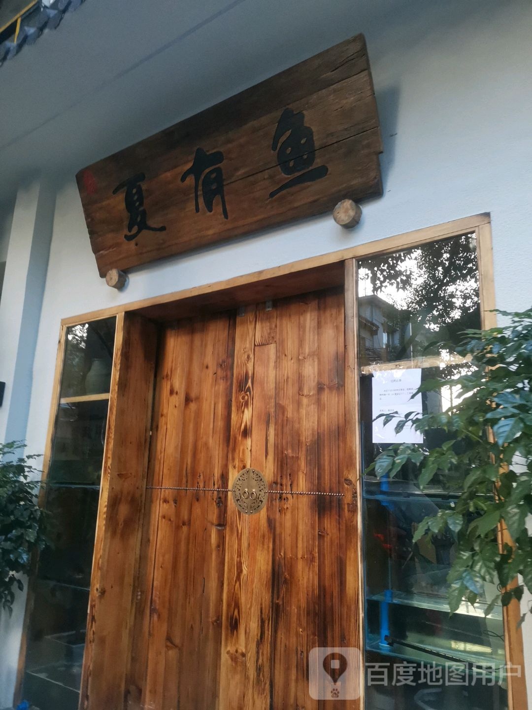 夏有鱼