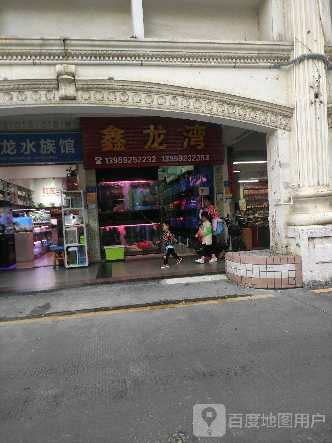 鑫龙湾水族