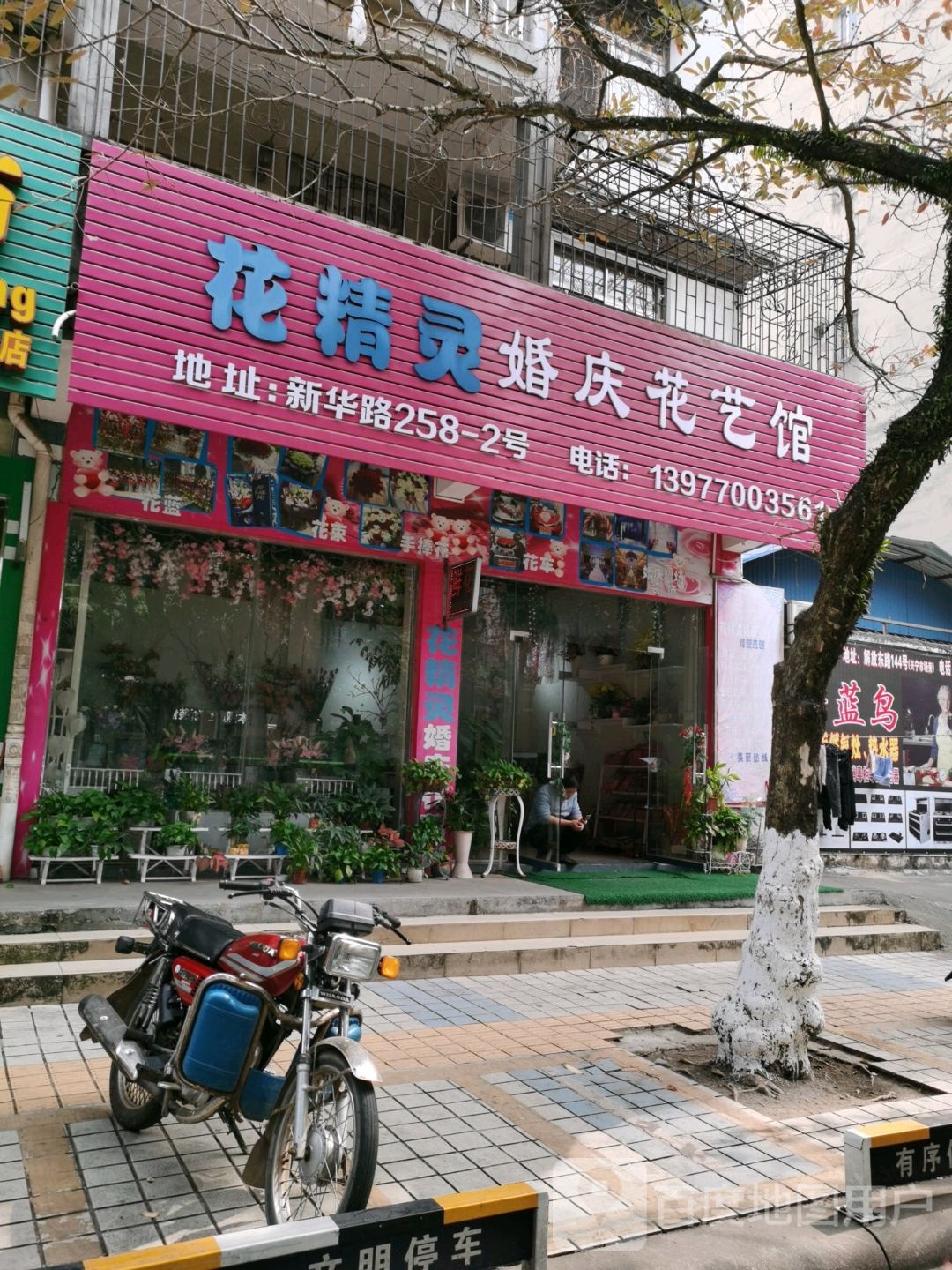 花精灵婚庆花艺馆