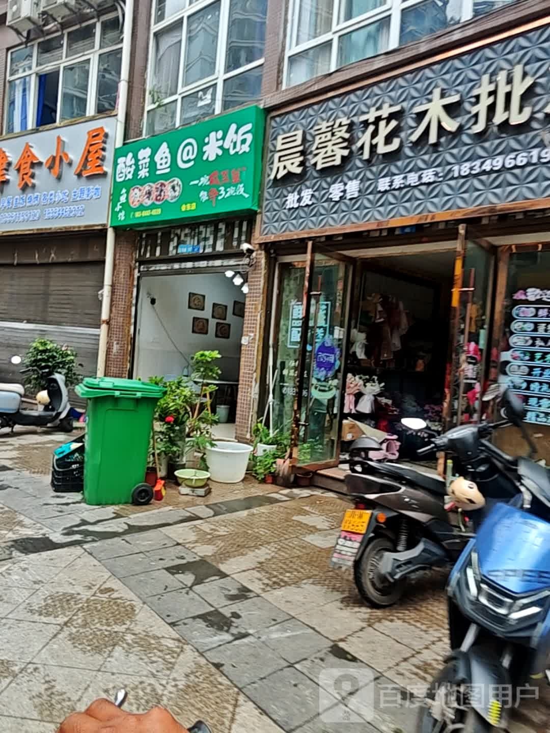 晨馨花木批发店