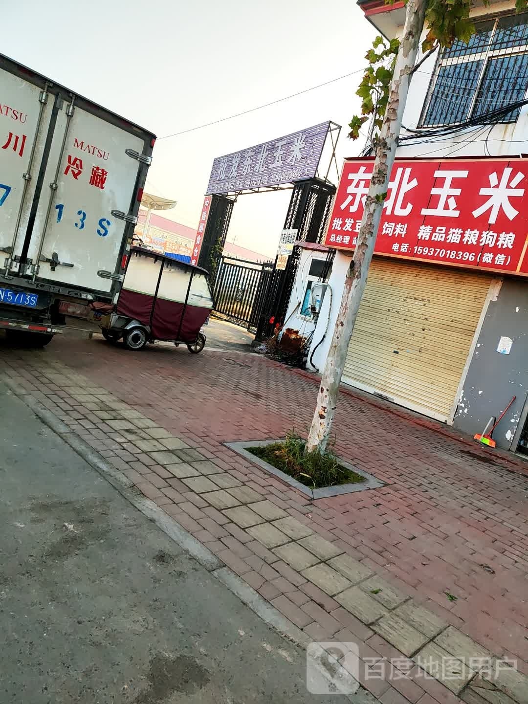 东北玉米(苗振江)