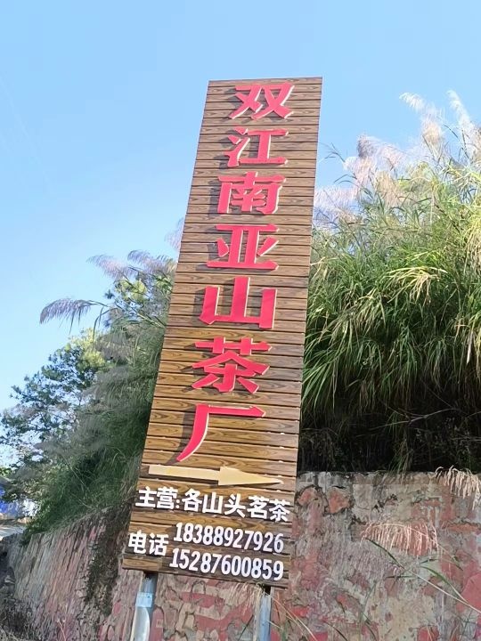 双江南亚山茶厂