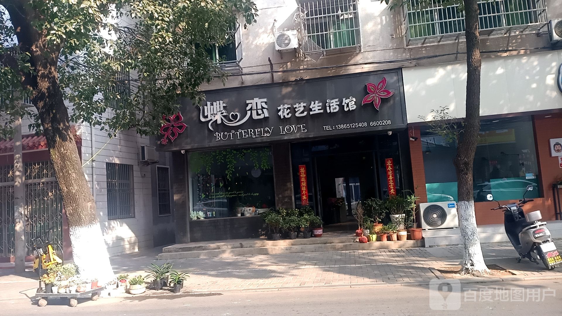 碟恋花艺生活馆