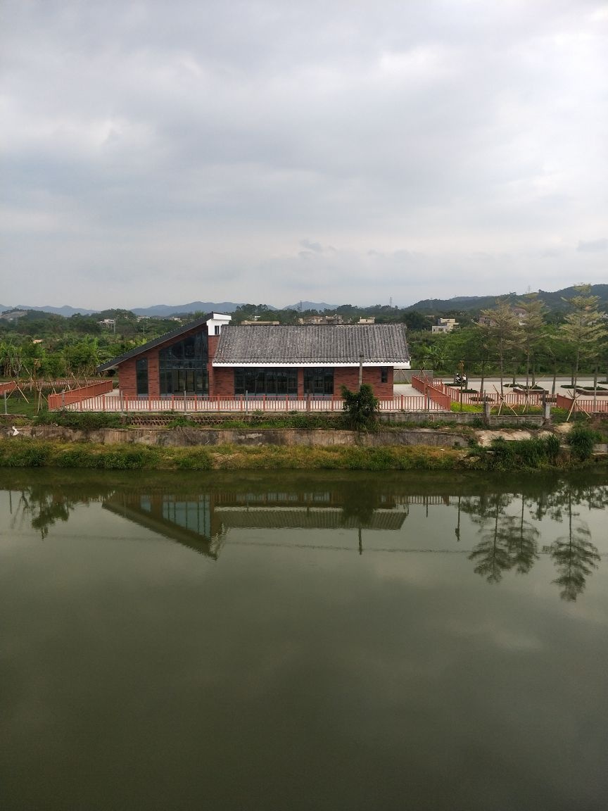 横茶新屋村钓场