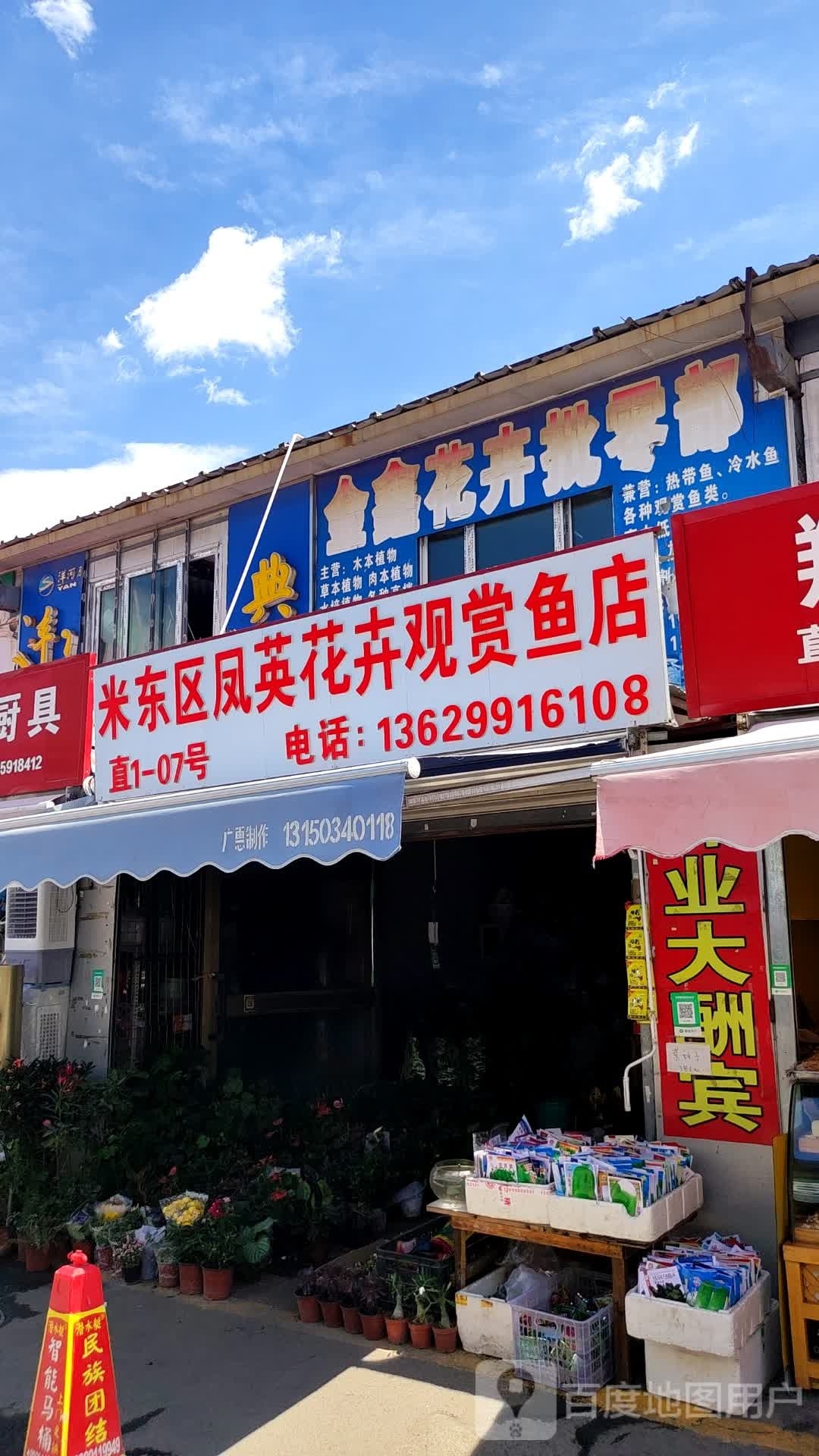 米东区凤英花卉观赏鱼店