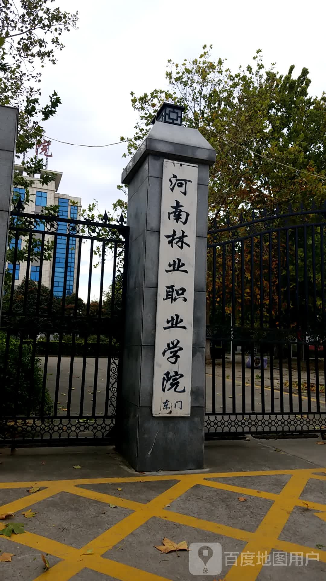 河南林业业高中学院-清华IT教改专业