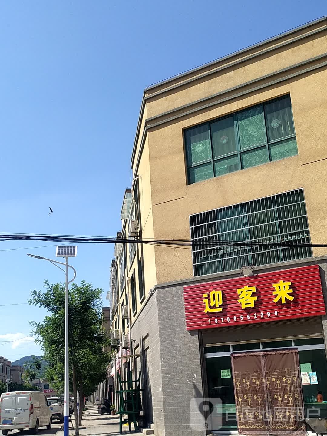 迎客来