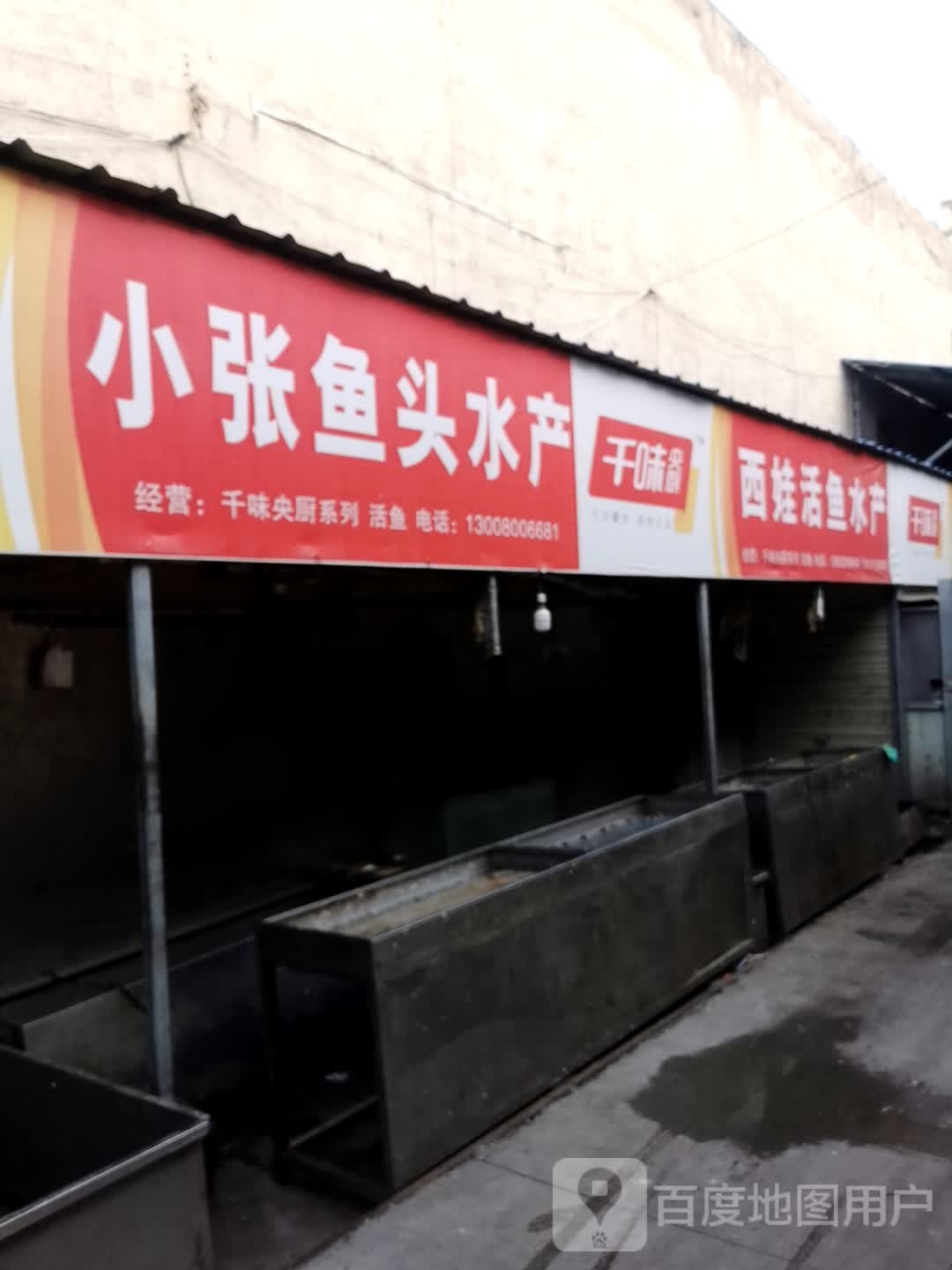 西娃鱼活水产