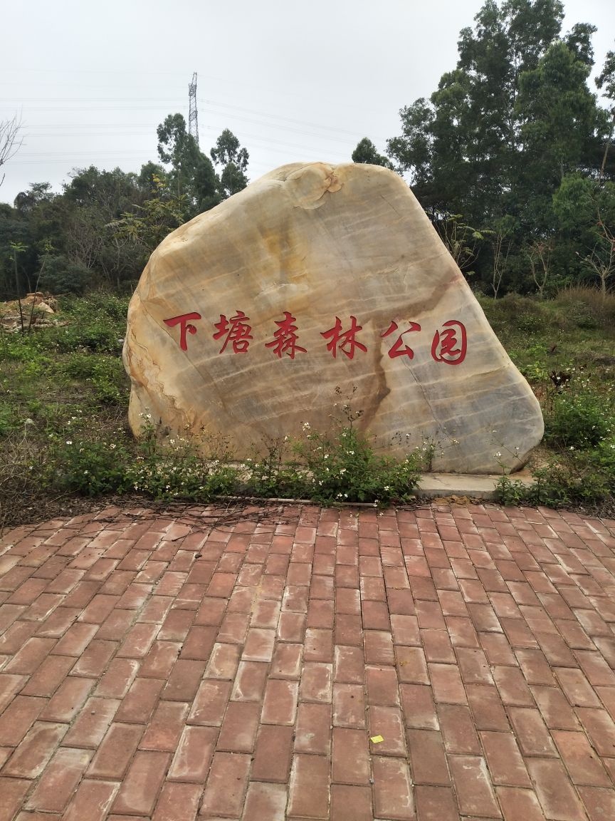 下塘森林公园