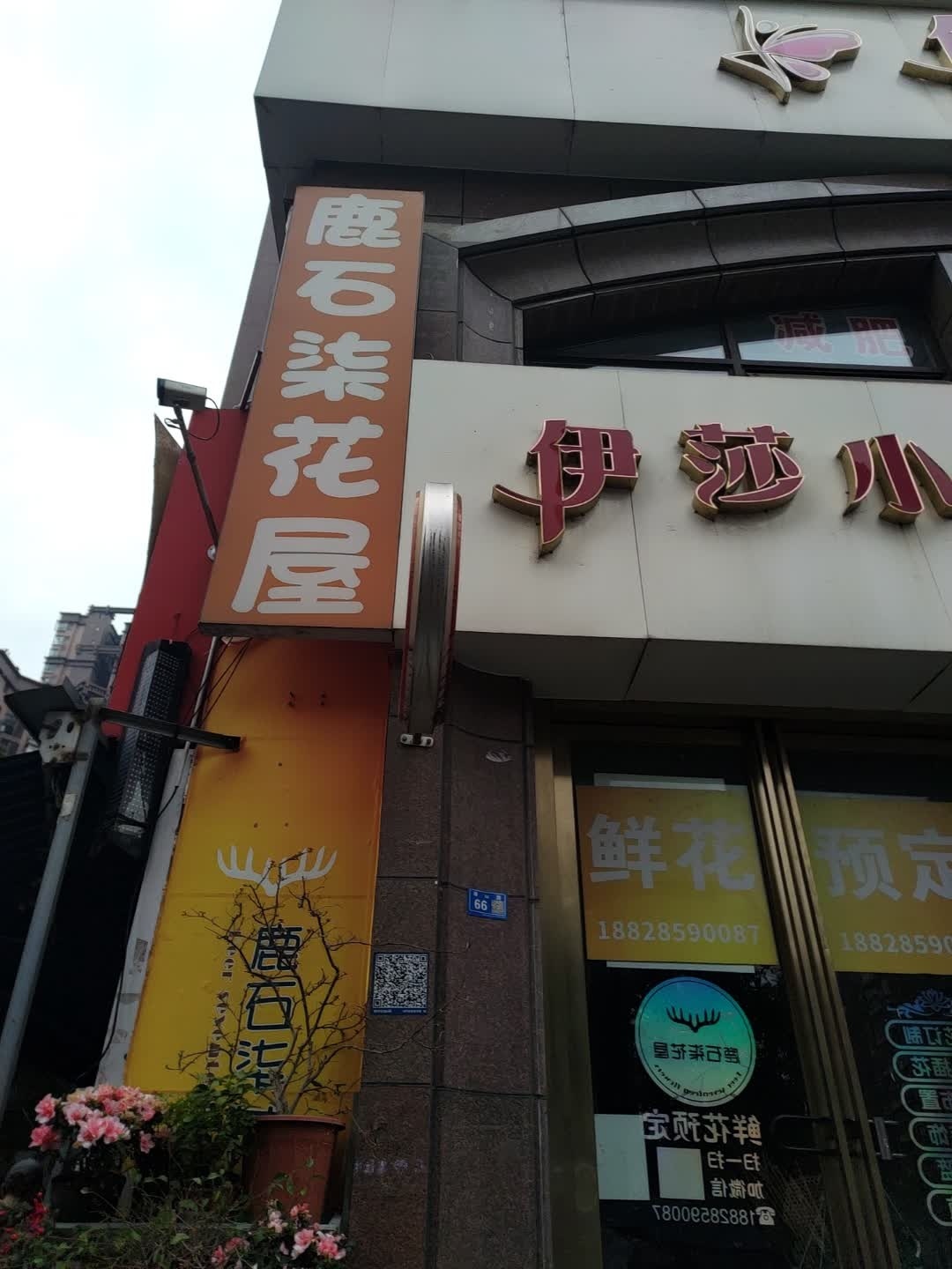 鹿石柒花屋(天籁福店)